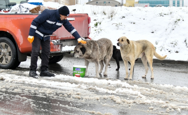 İstanbul'un En Büyük İlçesi Esenyurt'ta Karla Mücadele Çalışmaları Tüm Hızı İle Sürüyor